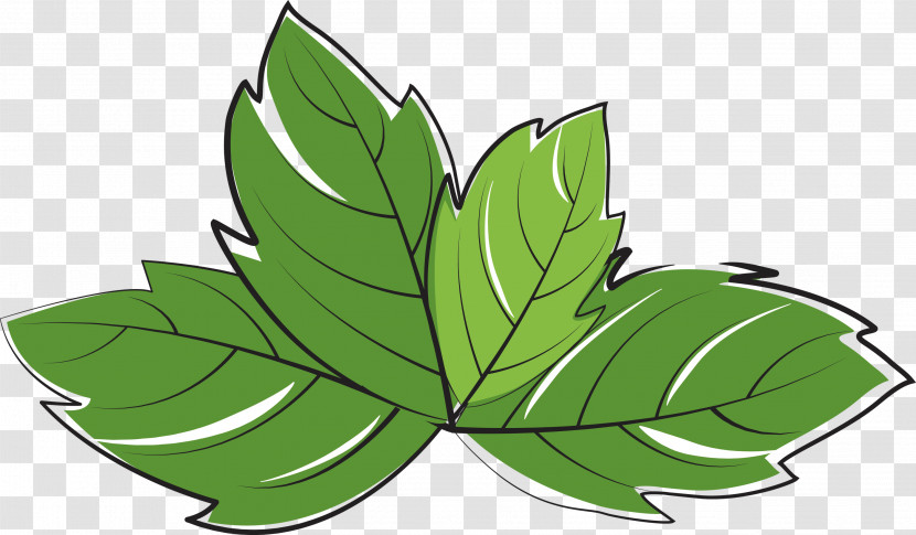 Leaf Plant Stem Flower Green M-tree Transparent PNG