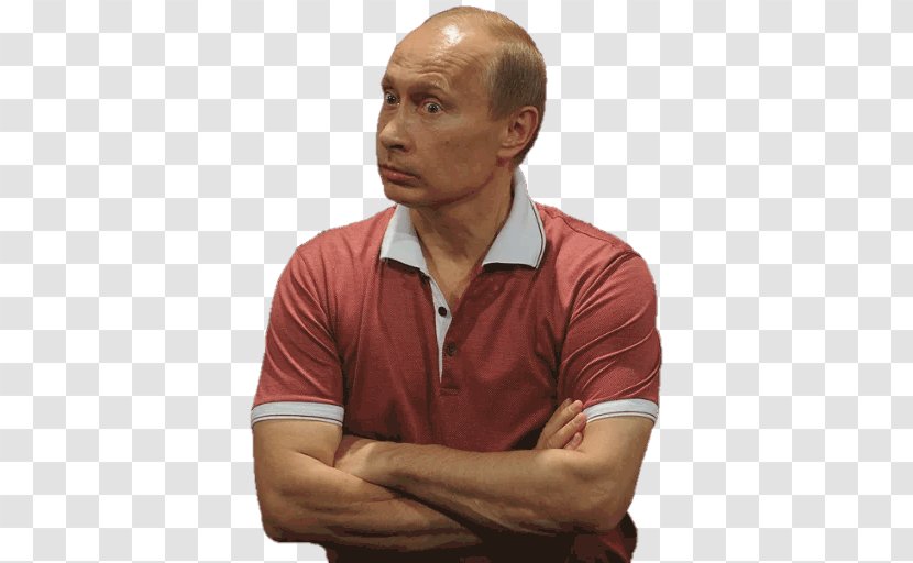 Vladimir Putin Germany Politician Prime Minister Of Russia - Tree - Cartoon Transparent PNG