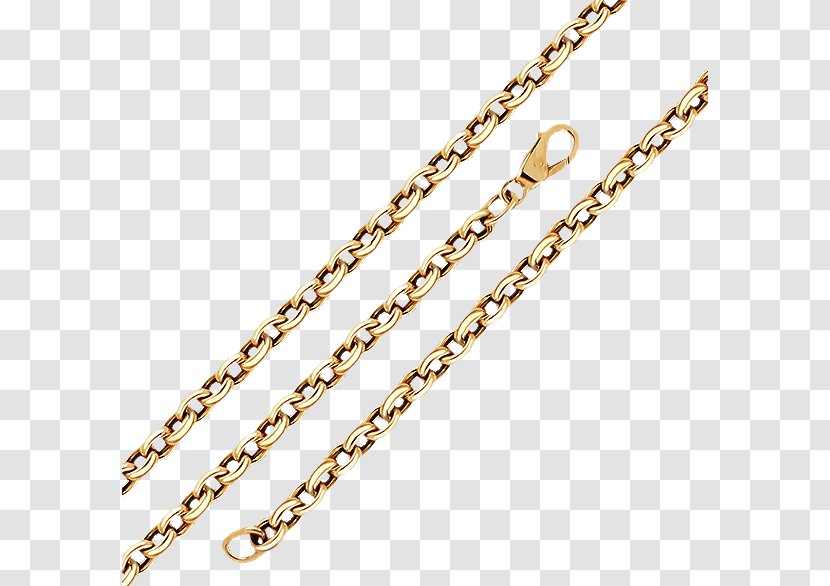 Jewellery Chain Gold Lavalier - Clothing Accessories Transparent PNG