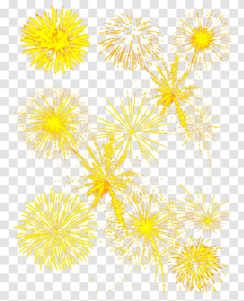 Fireworks Computer File - Flower - Round Golden Transparent PNG