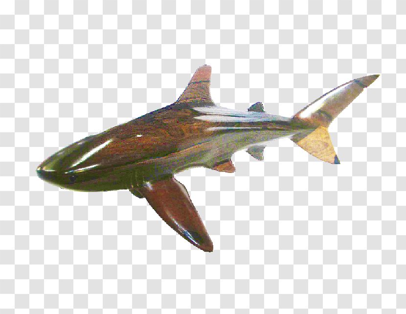 Squaliform Sharks Whale Shark Blacktip Bull Cetacea Transparent PNG
