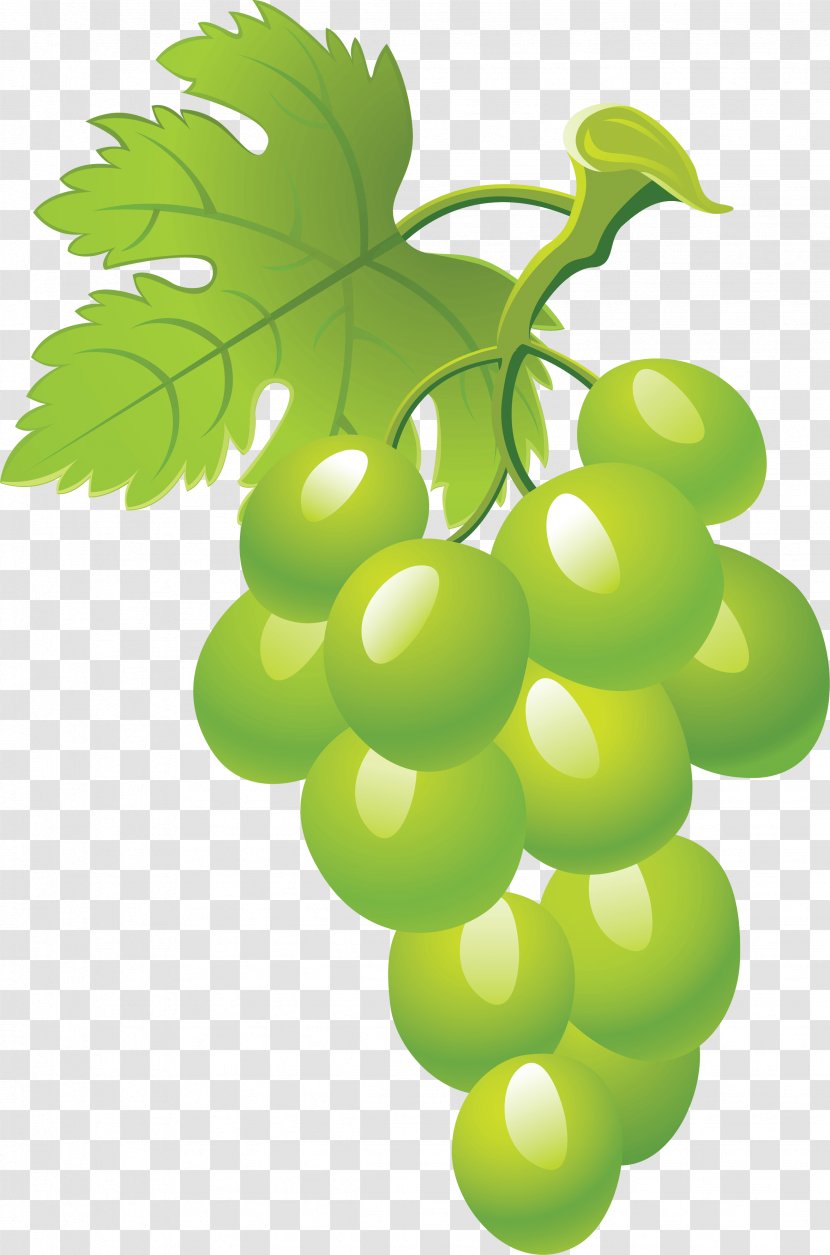 Grape Clip Art - Watermelon - Green Picture Image Transparent PNG