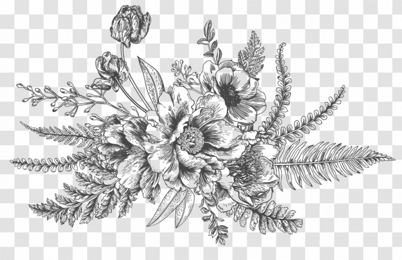 Drawing Flower Bouquet Floral Design - Flowering Plant Transparent PNG