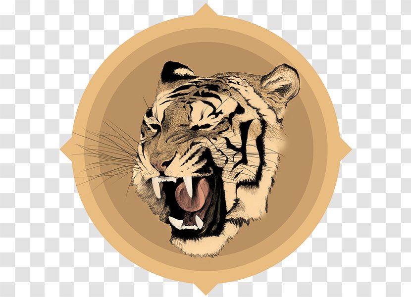 Tiger Drawing Chamo Roar - Head Transparent PNG