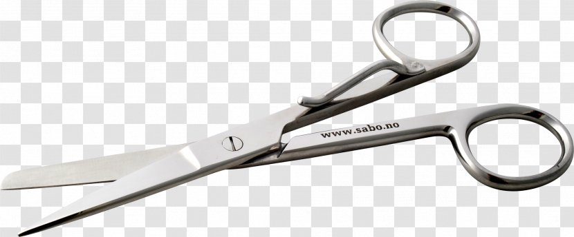 Nipper Scissors Hair-cutting Shears Nurse - Haircutting Transparent PNG