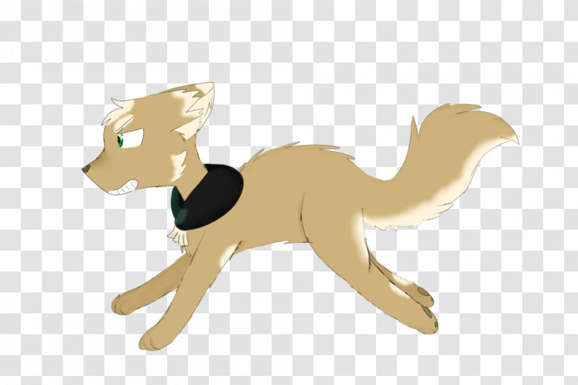 Cat Dog Fauna Tail Canidae Transparent PNG