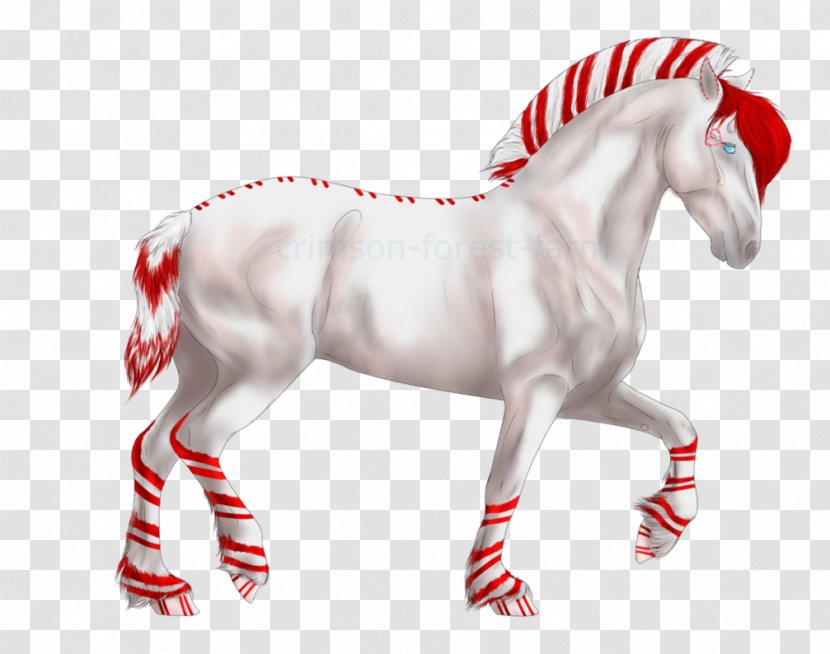Mustang Stallion Freikörperkultur Yonni Meyer Horse - Tack Transparent PNG