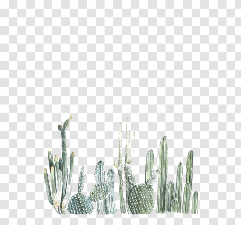 Cactaceae Cacti & Succulents Desktop Wallpaper Succulent Plant - Painting Transparent PNG