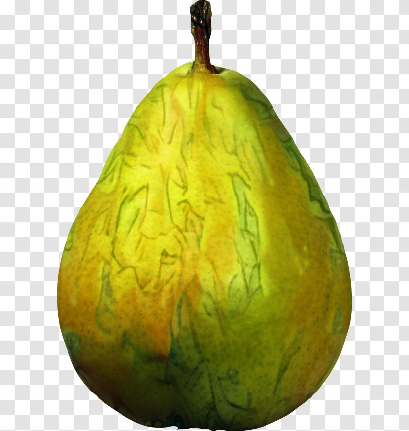 Winter Tree - Squash - Calabaza Food Transparent PNG