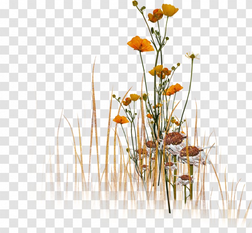 Cut Flowers Floral Design Petal Prophet - Grass - Champion Transparent PNG