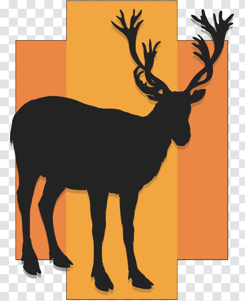 Reindeer Elk Clip Art Illustration Antler - Wildlife Transparent PNG