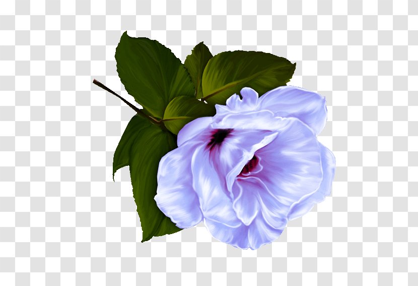 Flower Garden Roses Desktop Wallpaper - Uxga Transparent PNG