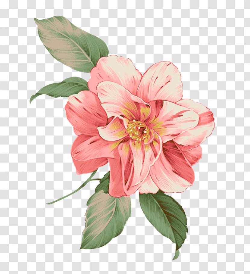 Illustration Flower Image Design Pink - Art Transparent PNG
