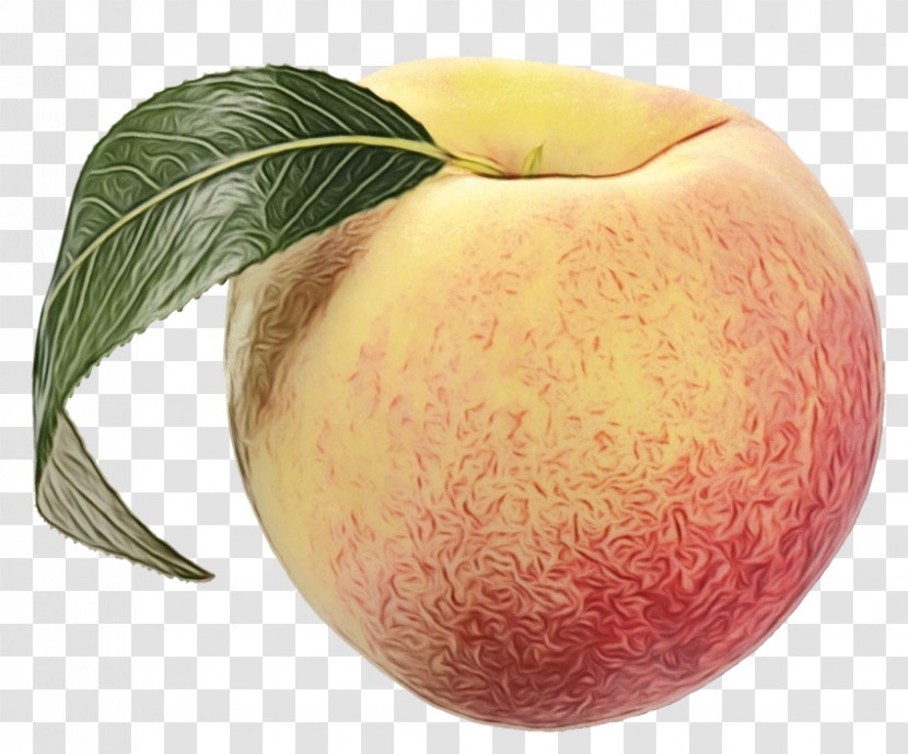 Peach Apple Apple Transparent PNG