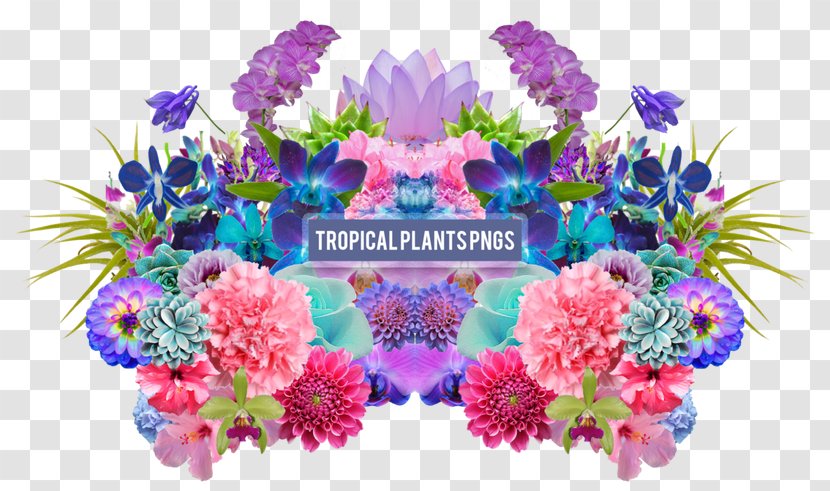 Desktop Wallpaper Floral Design Aesthetics - Flowering Plant - Drawing Summer Tropical Plants Transparent PNG