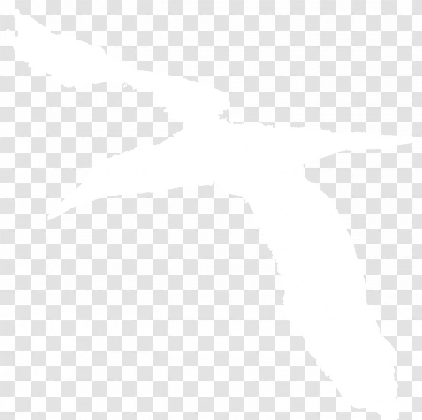 Rectangle Line Brown Font - Albatross Transparent PNG