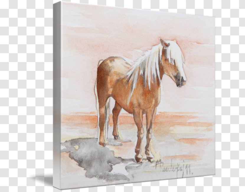 Mustang Stallion Mare Foal Watercolor Painting - Pack Animal Transparent PNG