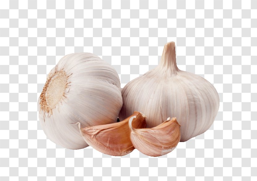 Garlic Clip Art - Shallot - Onion Transparent PNG