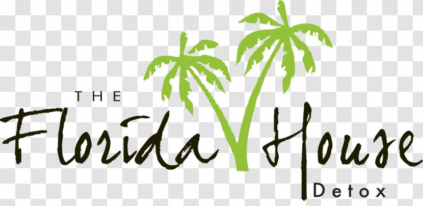 Florida House Experience Drug Rehabilitation Palm Beach County Of Representatives Alcoholism - Plant Stem - Addict Transparent PNG