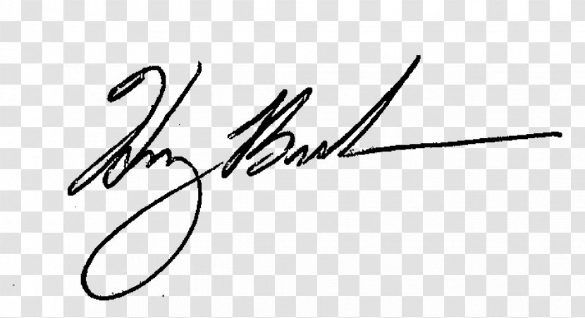 Art Signature Drawing Handwriting - Wing - Chase Transparent PNG