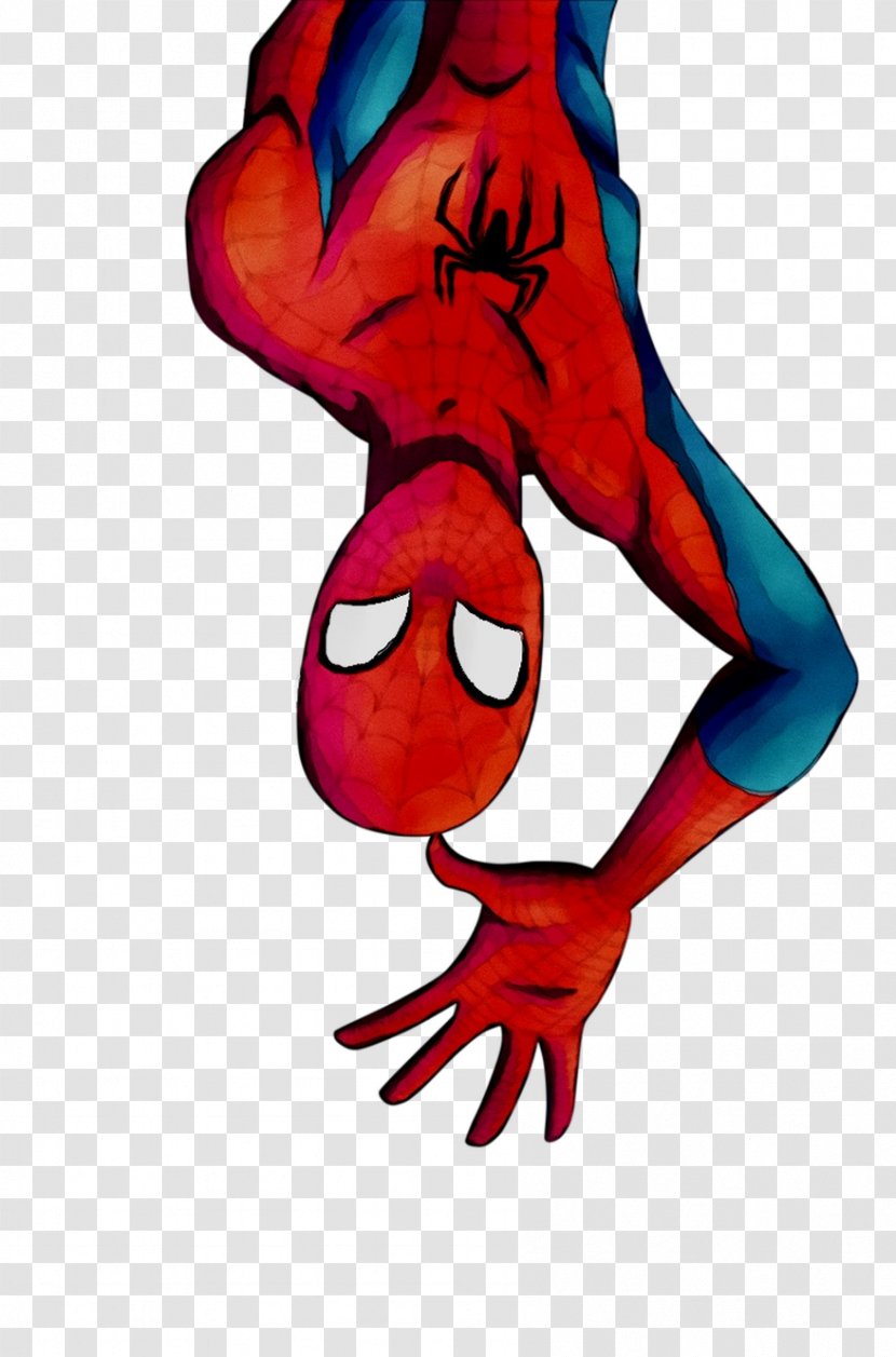 Vertebrate Illustration Clip Art Shoe Muscle - Redm - Spiderman Transparent PNG