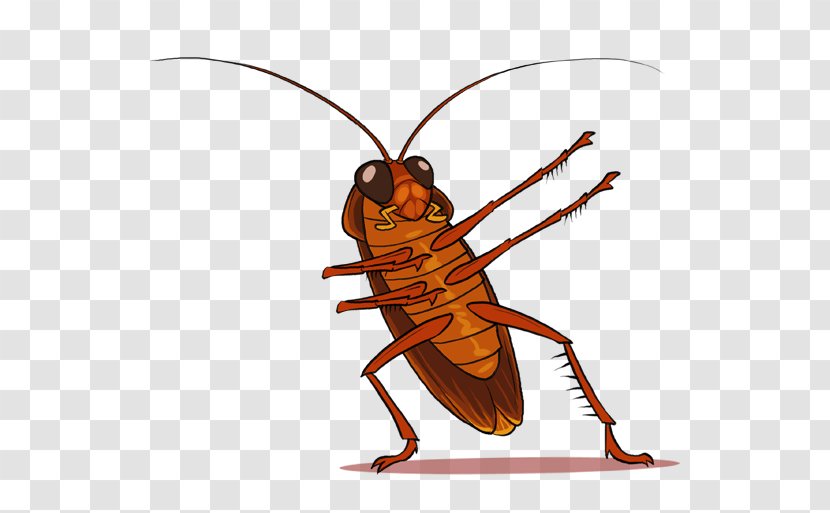 Cockroach Insect Clip Art - Membrane Winged Transparent PNG