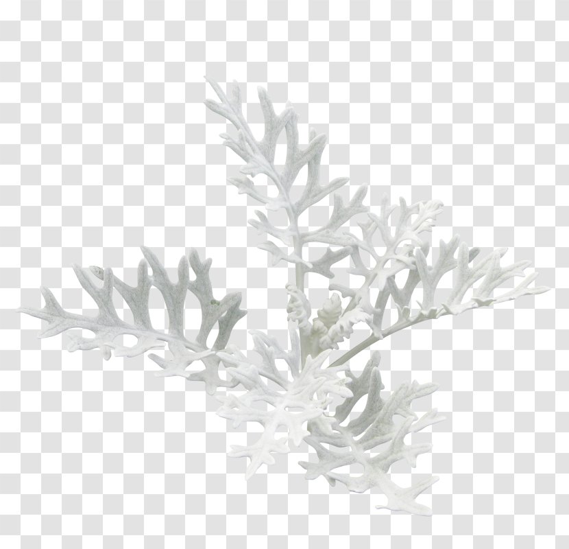 Christmas Day Clip Art Image Flower - Email Transparent PNG