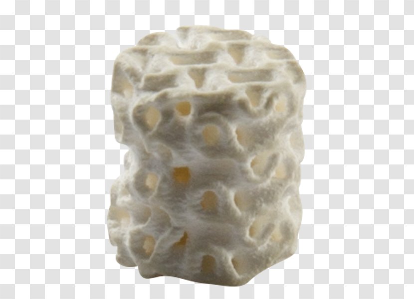 Ceramic 3D Printing Manufacturing Hydroxylapatite - Bone Material Transparent PNG