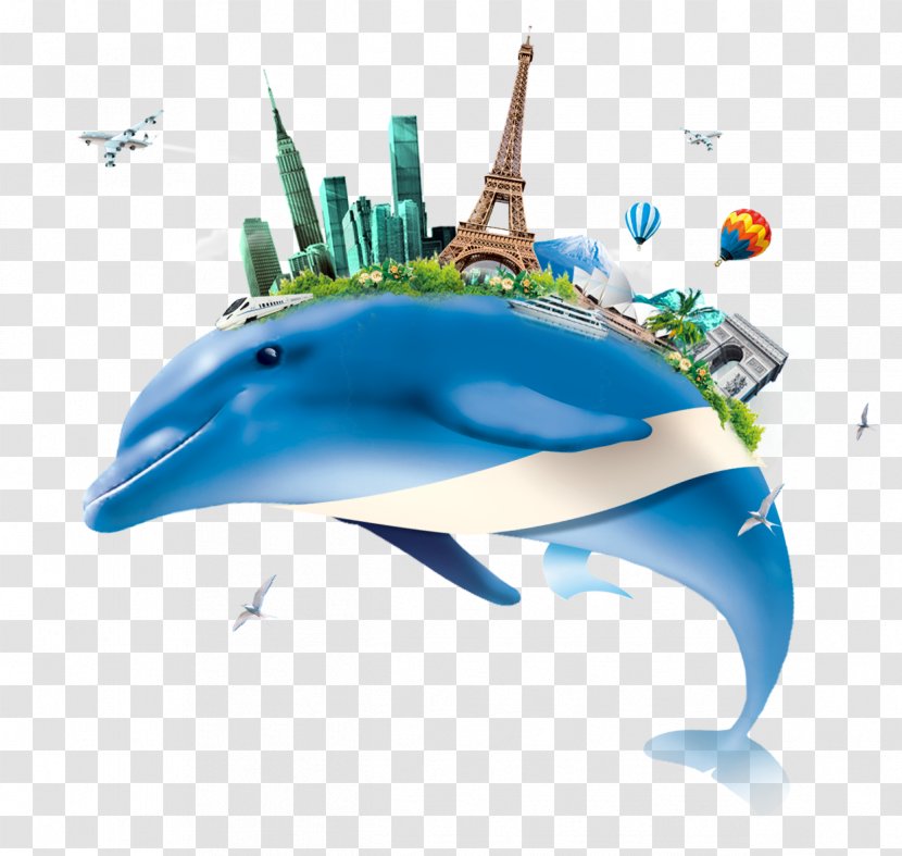 Dolphin Clip Art Image Download - Marine Biology Transparent PNG