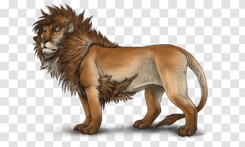 Lion Cat Felidae Roar Wildlife - Moonstone Transparent PNG