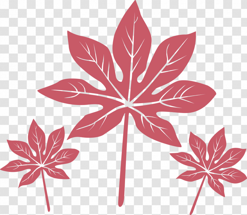 Leaf Transparent PNG