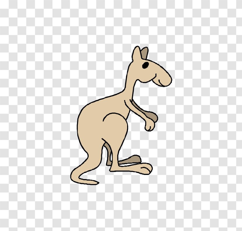 Kangaroo Cartoon - Vertebrate Transparent PNG
