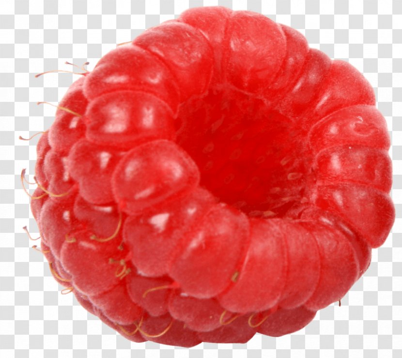 Raspberry Blackberry Fruit Transparent PNG