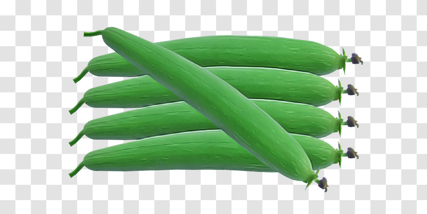 Vegetable Green Beans Commodity Green Transparent PNG