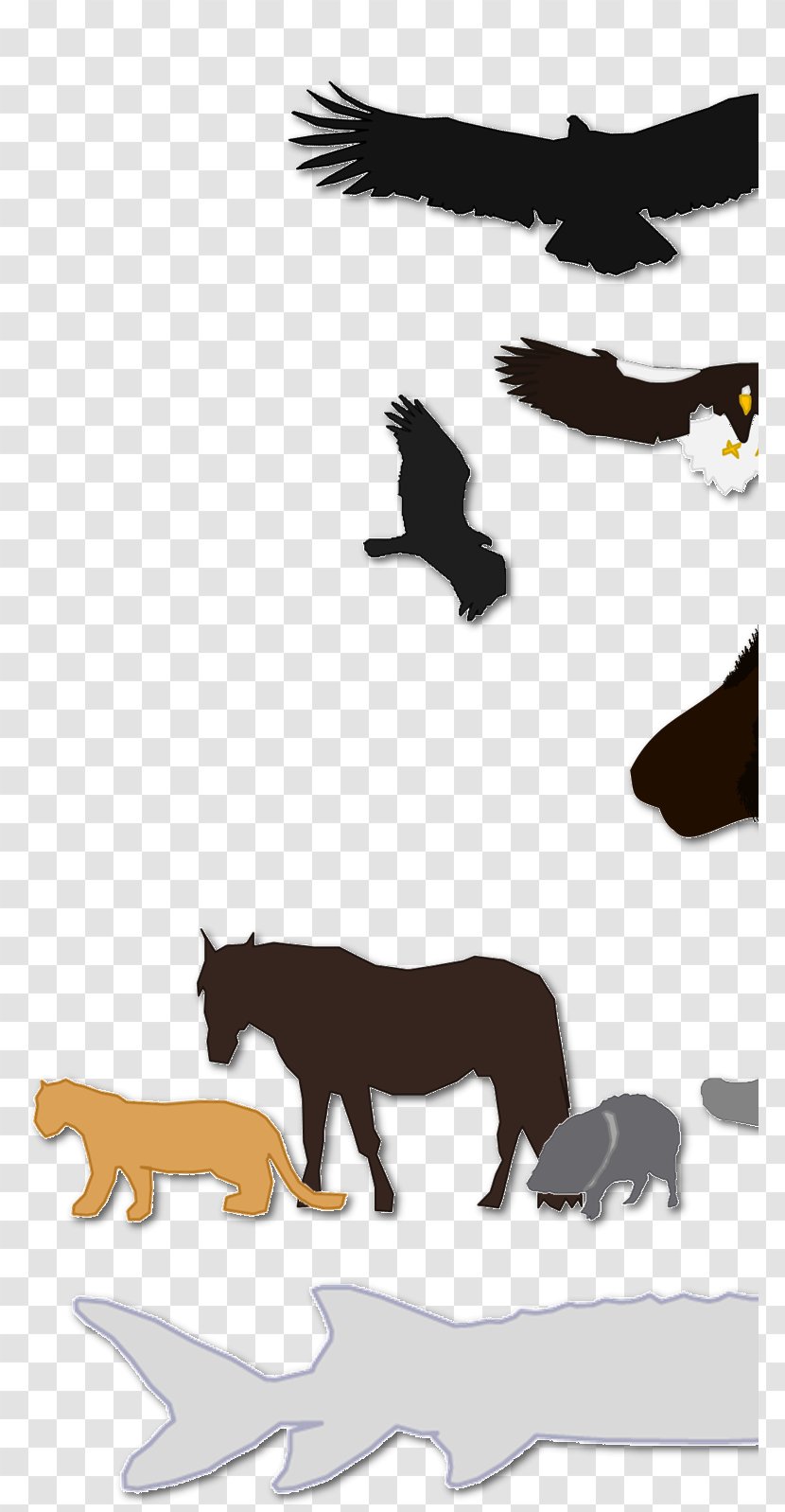 Canidae Mustang Digital Art Zoo Tycoon 2 Dog - Silhouette - Juvenile Golden Eagle Vs Bald Transparent PNG