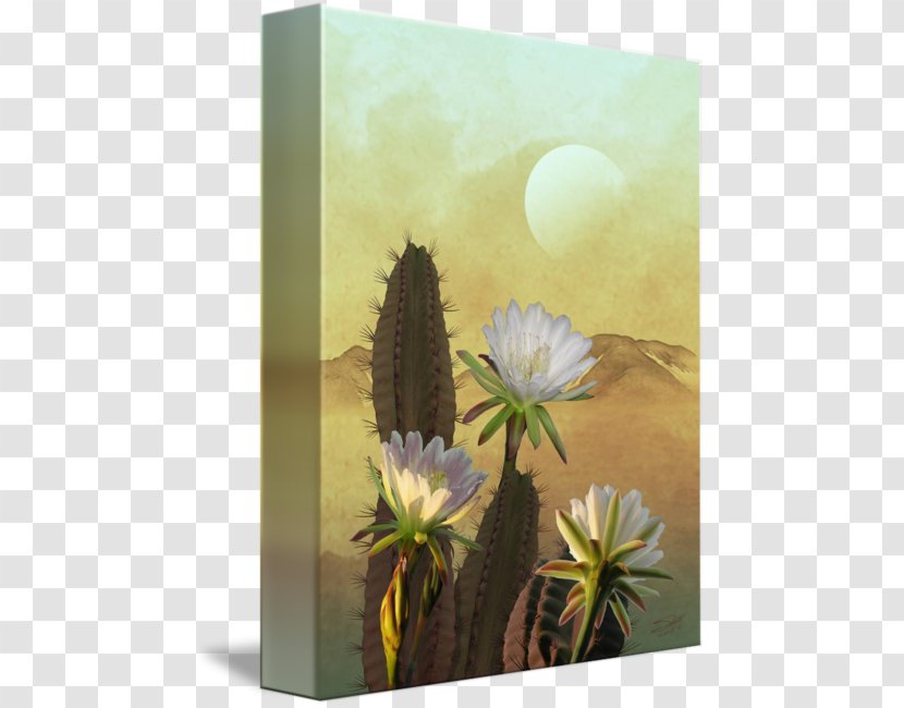 Cactaceae Cereus Repandus Cactus Wren United States Art - Painting - Flower Transparent PNG