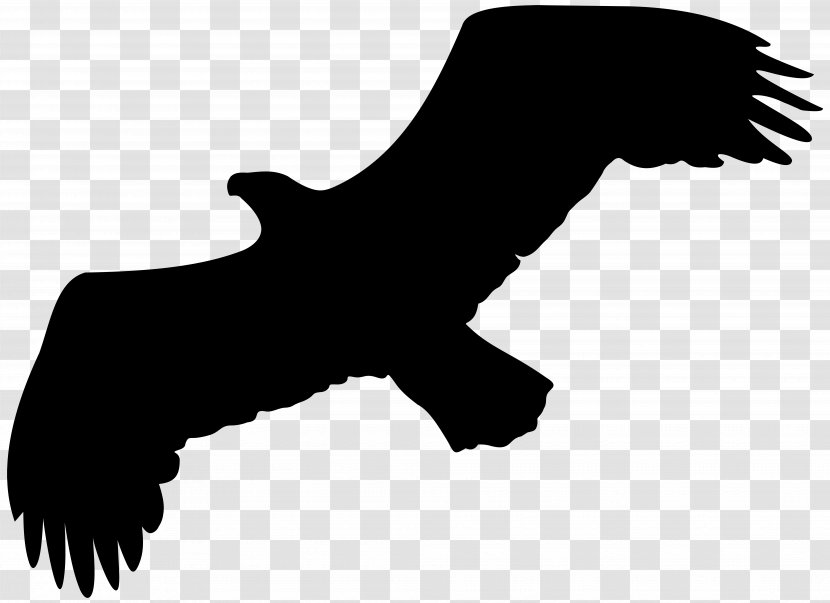 Silhouette Eagle Clip Art - Image Resolution Transparent PNG