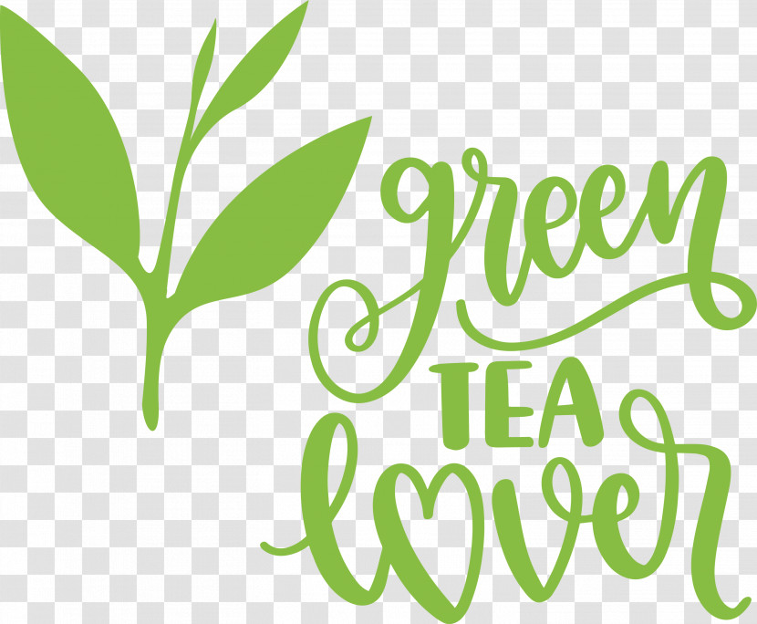 Green Tea Lover Tea Transparent PNG