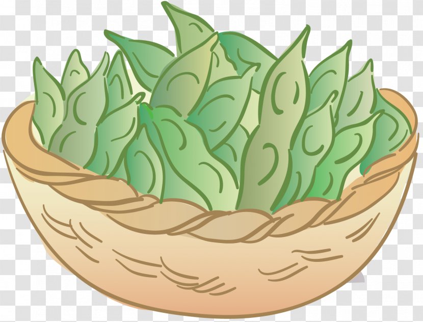 Pea Drawing Clip Art - Bean Transparent PNG