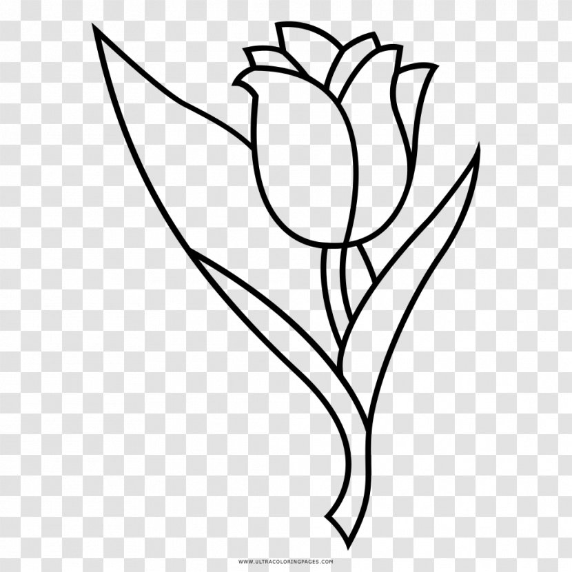 Floral Design Tulip Drawing Flower Coloring Book - Wing Transparent PNG