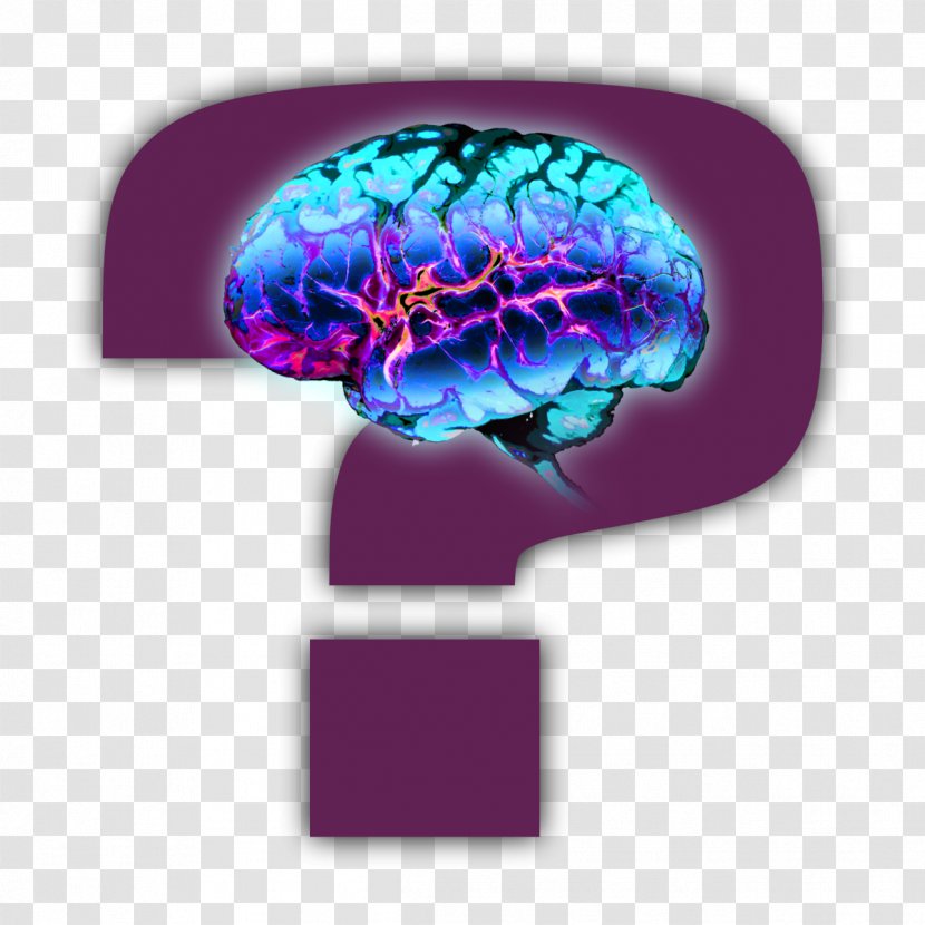 Brain Organism Neurology Font - Tree Transparent PNG