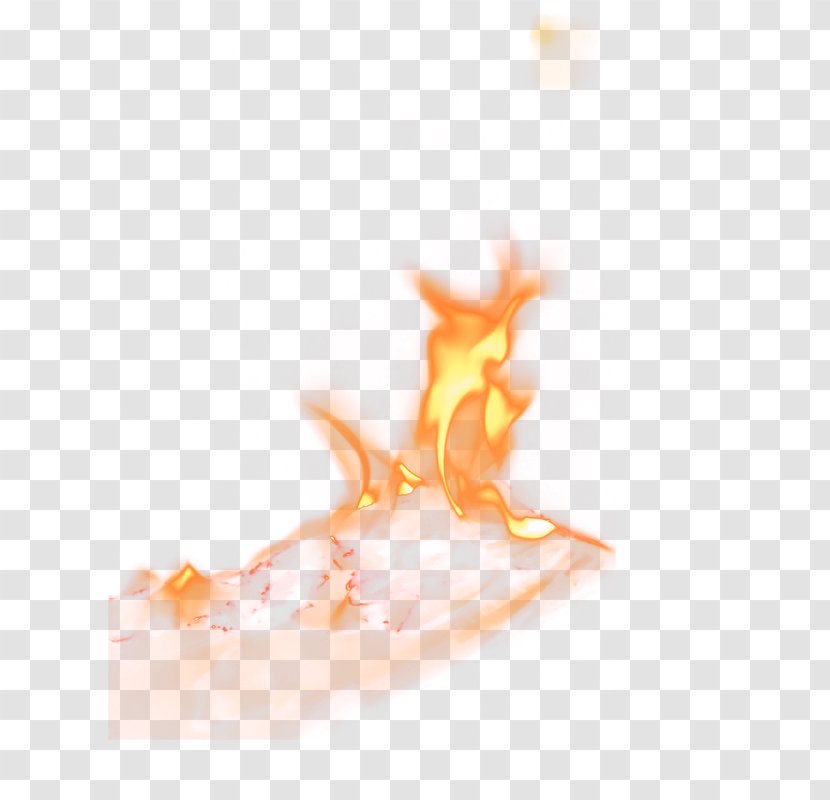 Fire - Vertebrate - Gratis Transparent PNG