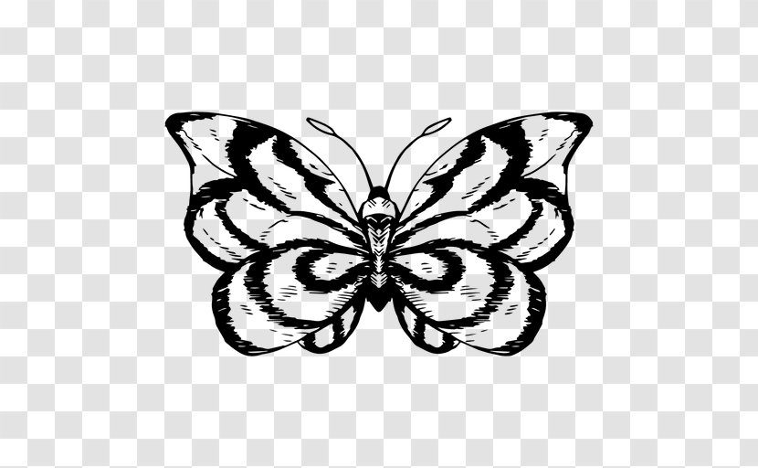 Monarch Butterfly Moth Drawing - Transparency And Translucency - Sketchpad Vector Transparent PNG