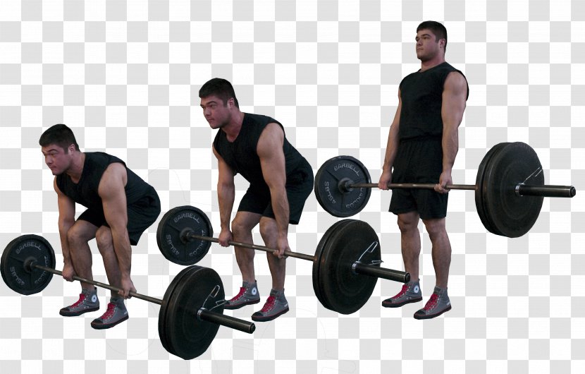 Deadlift Physical Exercise Muscle Olympic Weightlifting Squat - Barbell Transparent PNG