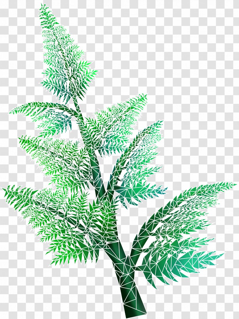 Artemisinin Sweet Wormwood Antimalarial Medication Plant Fern - Pine - Drink Traditional Chinese Medicine Transparent PNG