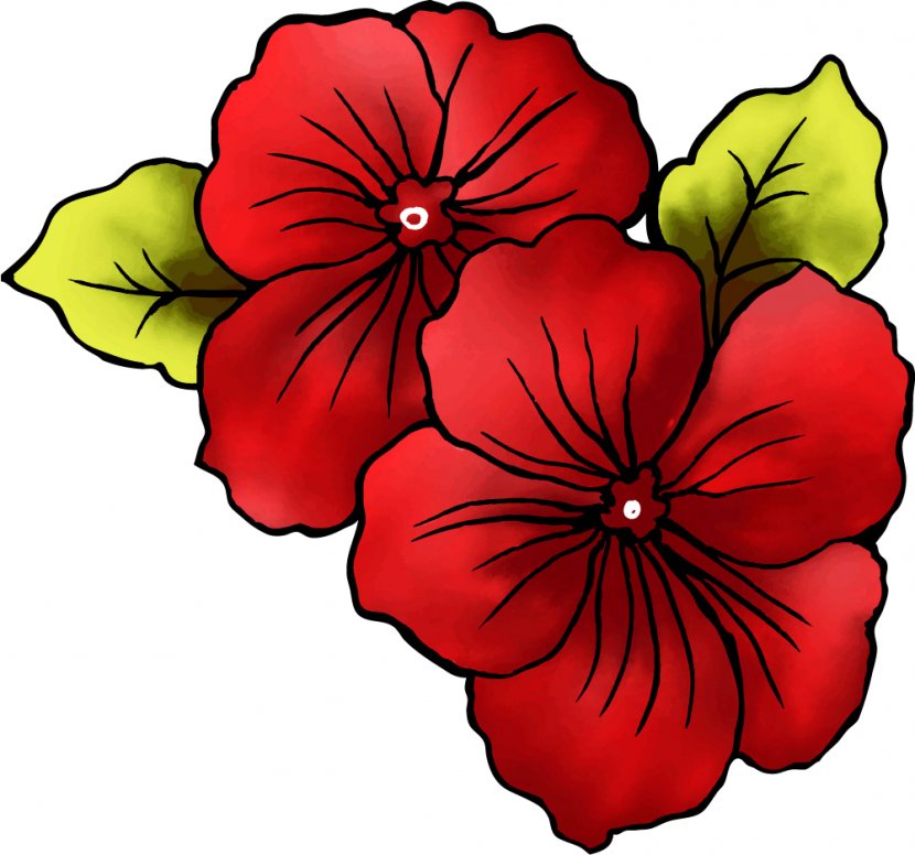 Petal Flower Poppy - Seed Plant - Red Flowers Transparent PNG