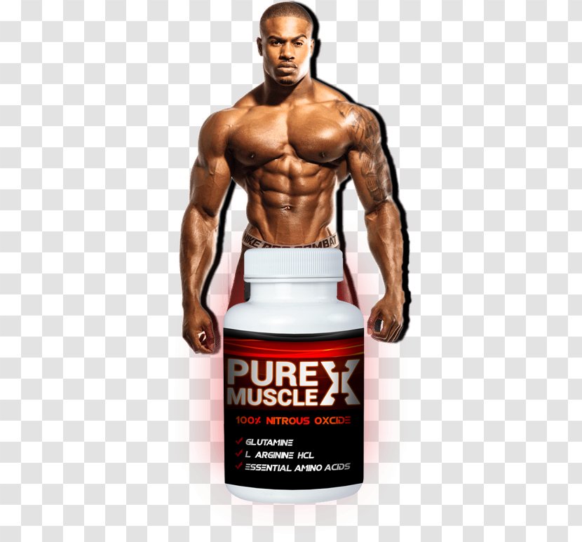 Physical Fitness Anabolic Steroid Muscle Bodybuilding Anabolism - Cartoon - Lean Bodybuilders Transparent PNG