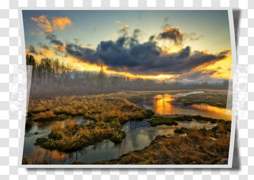Wetland Landscape Sunset Desktop Wallpaper Swamps & Marshes - Bog - Cloud Transparent PNG