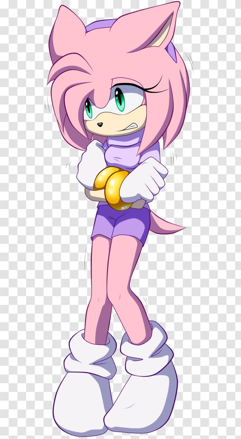 Amy Rose Sonic The Hedgehog And Black Knight Shadow Sticks Badger - Frame - Boom Beach Transparent PNG