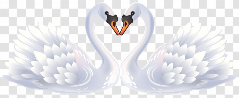 Mute Swan Clip Art Heart Duck Bird - Drawing Transparent PNG